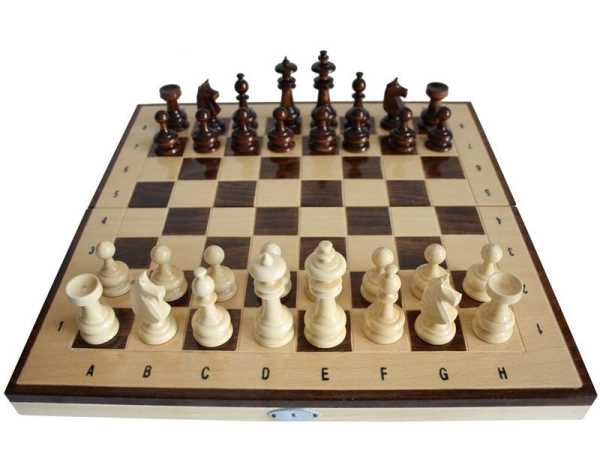 Bild Nr. 4 Schachspiele